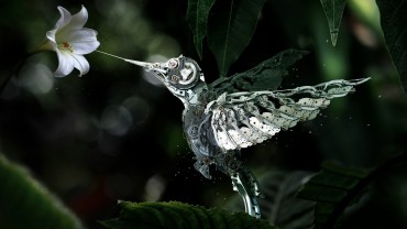 Mechanical-Hummingbird-hd-desktop-background